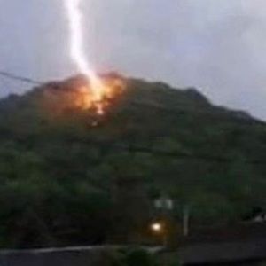 Meet your Posher, Elvis